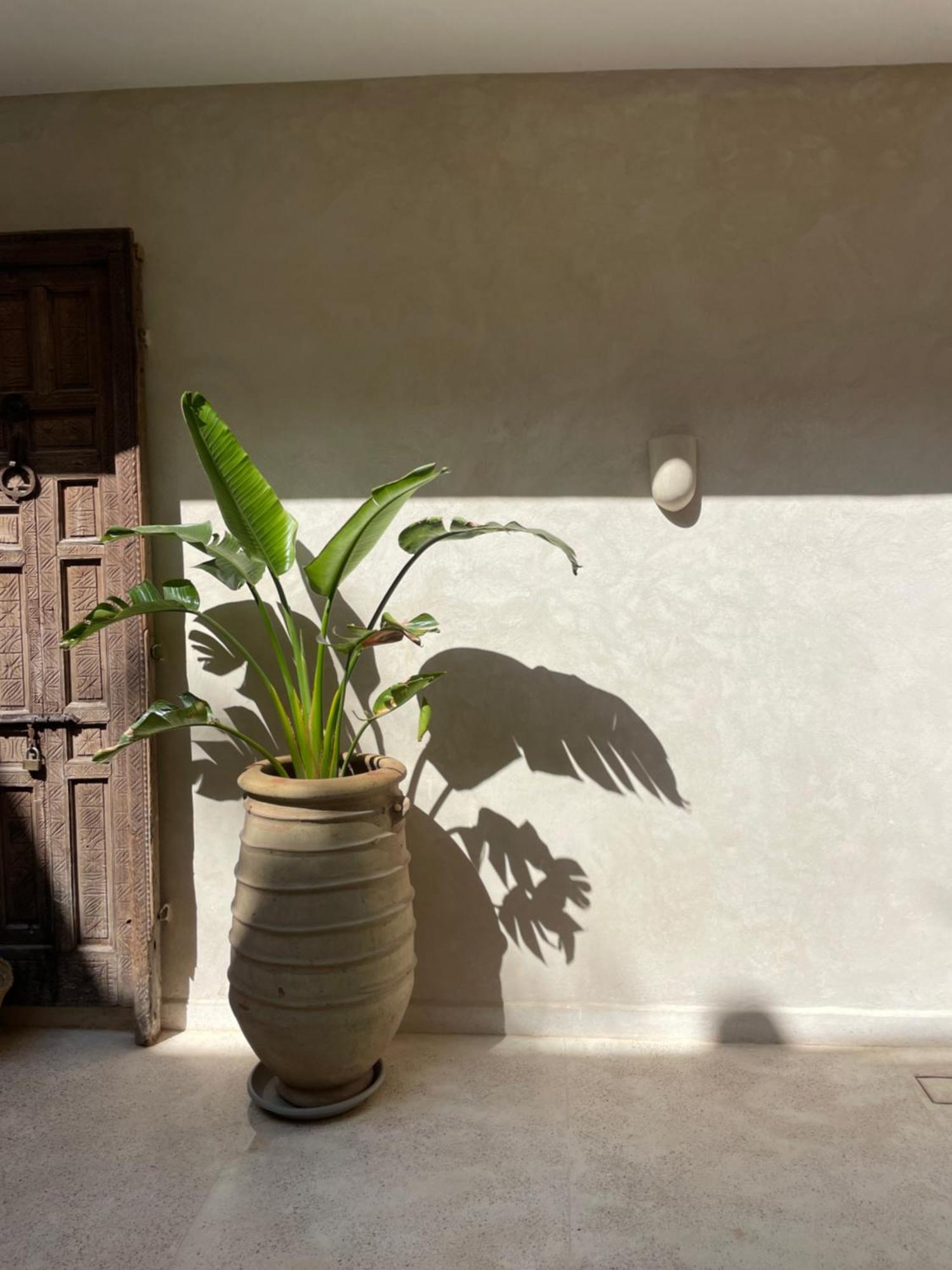 Riad Roca مراكش المظهر الخارجي الصورة